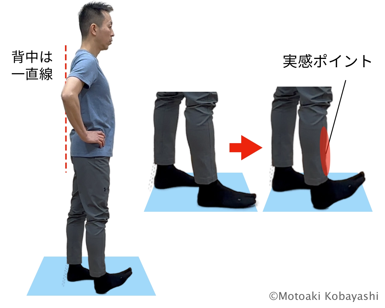トゥレイズ　前脛骨筋トレーニング

